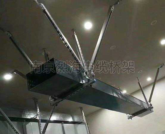 ����֧��